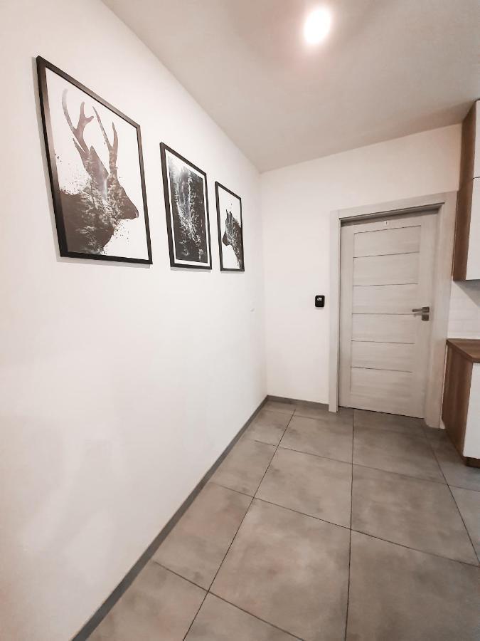 Apartament Kraków Arena No. 91 Cracóvia Exterior foto